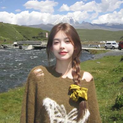 双面骗子虚假警察第二季